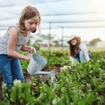 Teaching Children About Environmental Conservation