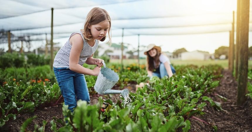 Teaching Children About Environmental Conservation