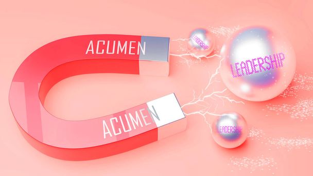 The Power of Acumen