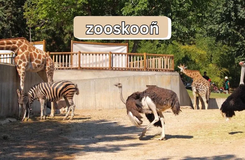 Zooskooñ: The Multifaceted Concept in Modern Culture