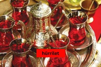 The Concept of "Hürrilet": An In-Depth Exploration