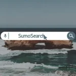 SumoSearch: Unveiling the Power Behind Online Information Retrieval