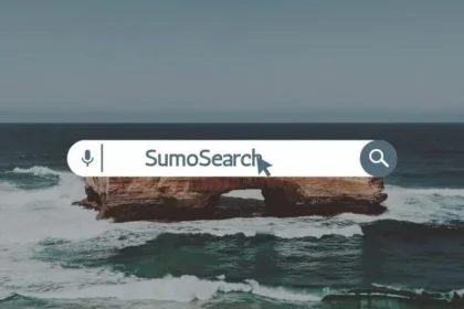 SumoSearch: Unveiling the Power Behind Online Information Retrieval