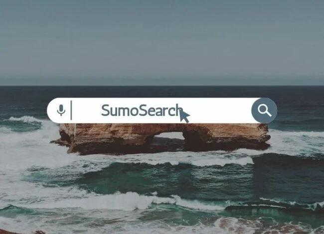 SumoSearch: Unveiling the Power Behind Online Information Retrieval