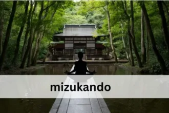 Understanding Mizukando: An Overview