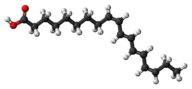 The Complete Guide to HCOOCH CH2 H2O